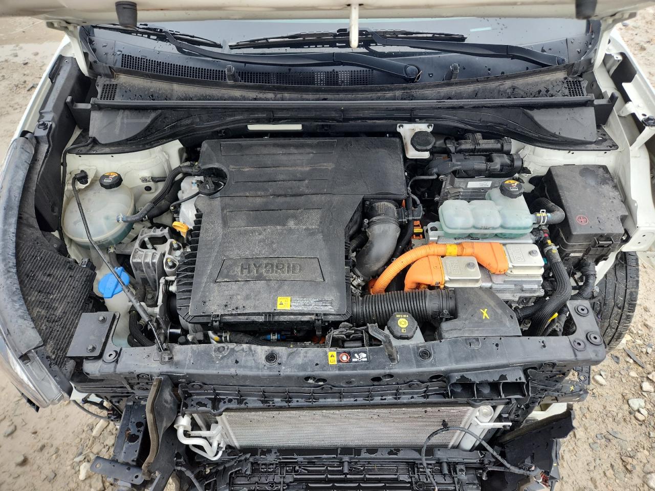 2018 Kia Niro Fe VIN: KNDCB3LC8J5156158 Lot: 62035375