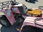 1999 YAMAHA YFM250    à vendre chez Copart CA - FRESNO