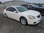 2007 Nissan Maxima Se for Sale in Spartanburg, SC - Rear End
