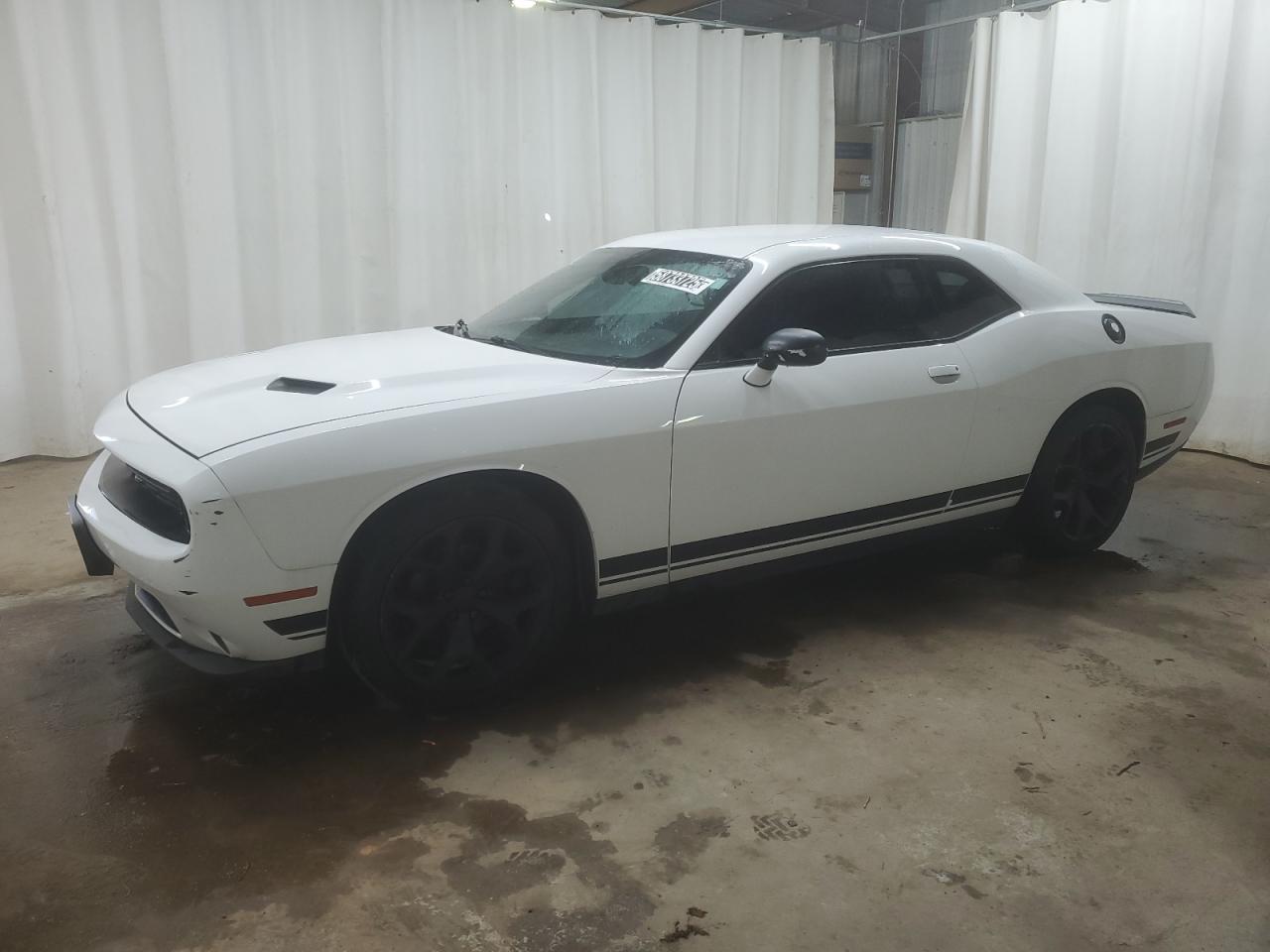 2017 Dodge Challenger Sxt for Sale in Shreveport, LA - Rear End