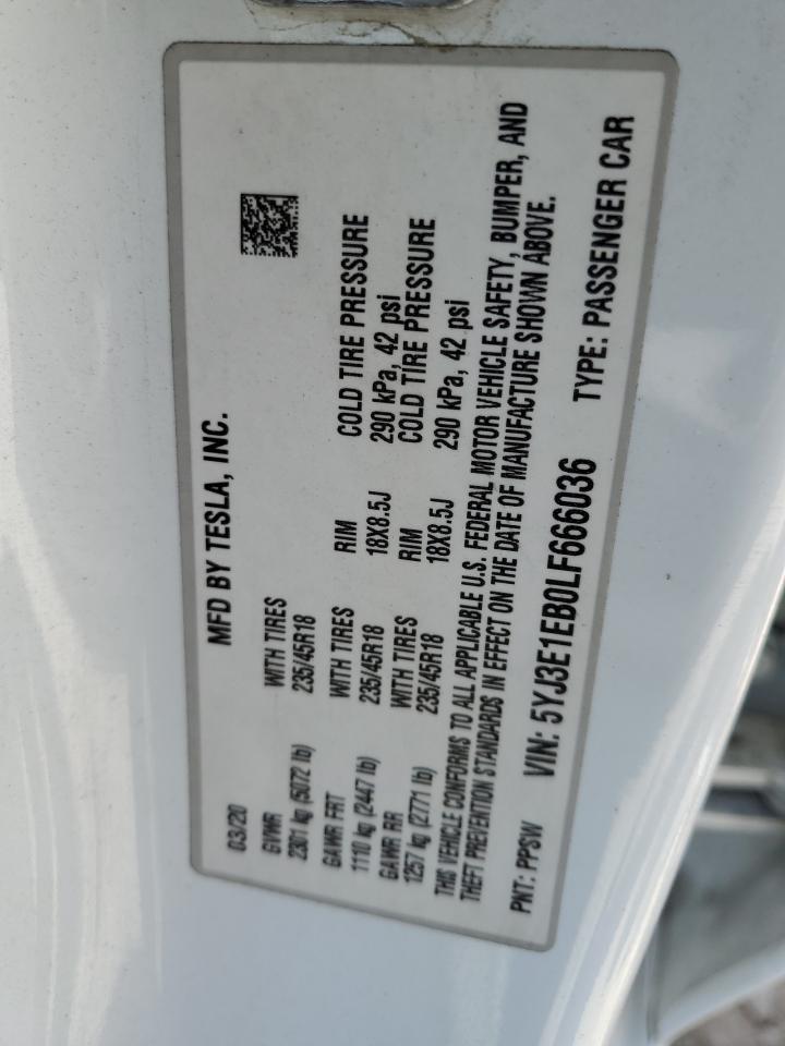2020 Tesla Model 3 VIN: 5YJ3E1EB0LF666036 Lot: 61666255