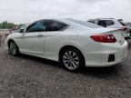 2013 HONDA ACCORD EXL   à vendre chez Copart ON - COOKSTOWN