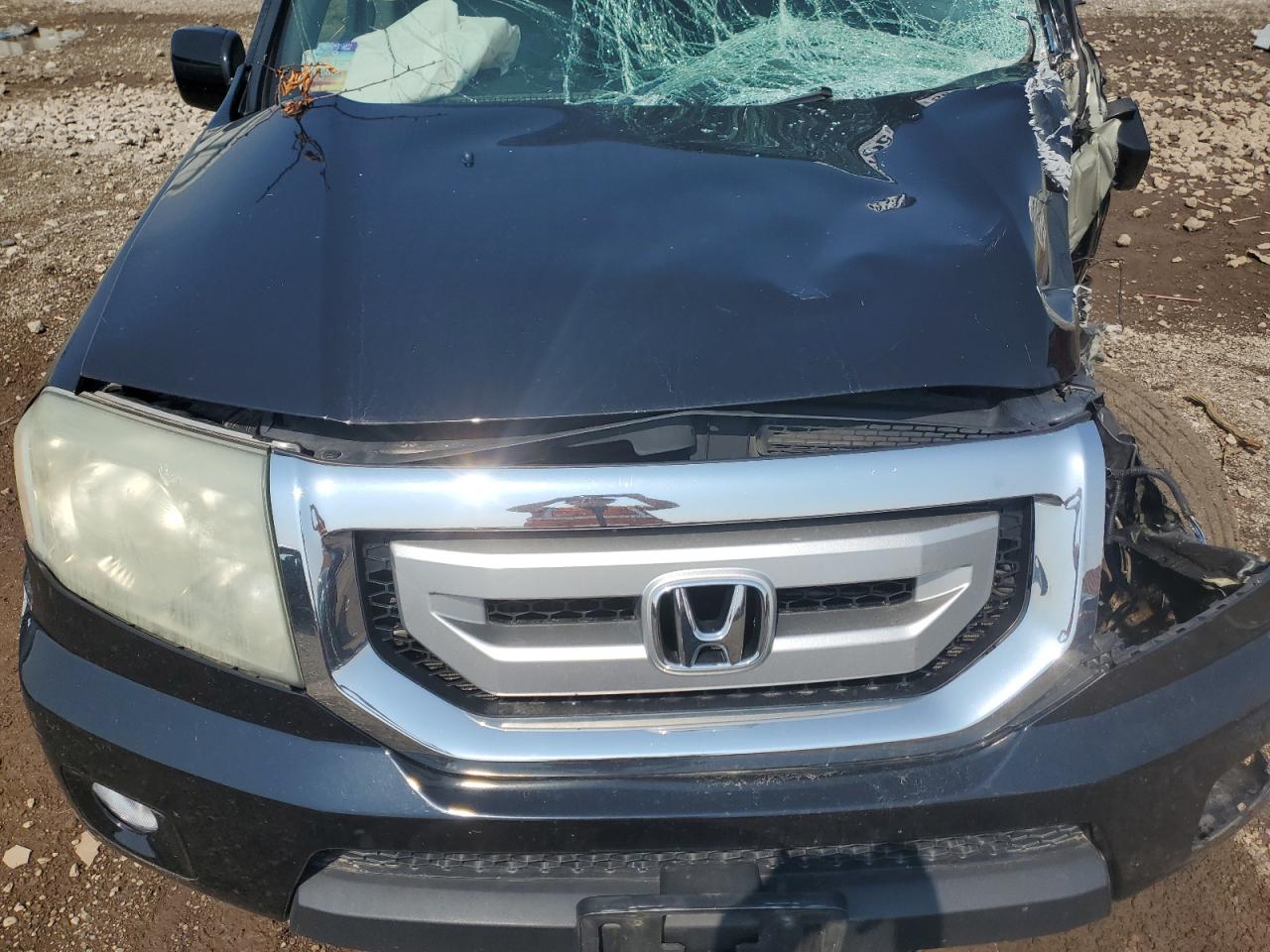 2010 Honda Pilot Exl VIN: 5FNYF4H54AB019775 Lot: 65833175