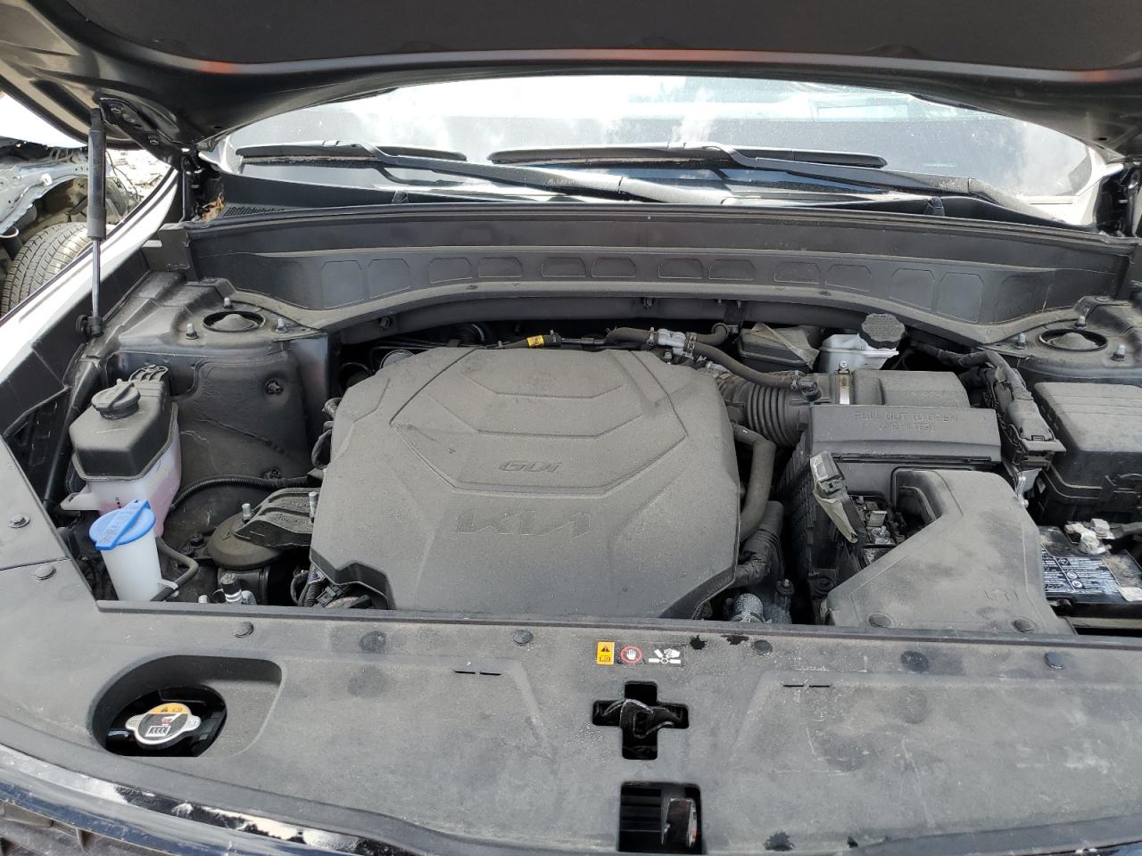 KIA TELLURIDE 2024 VIN 5XYP5DGC9RG441771 zdjęcie 12