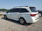 2014 Honda Odyssey Exl en Venta en Memphis, TN - Side