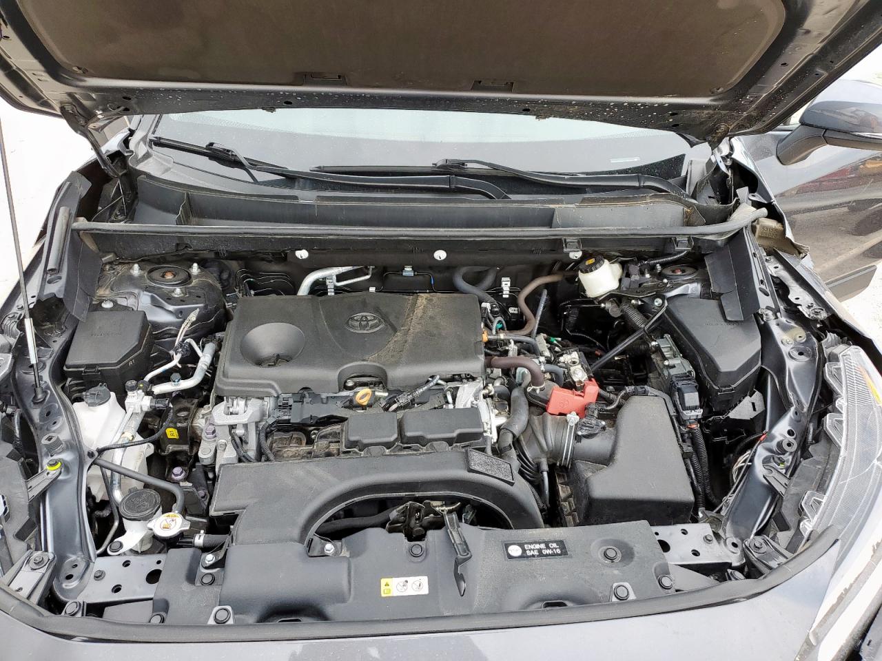 2T3W1RFV4MW110985 2021 Toyota Rav4 Xle