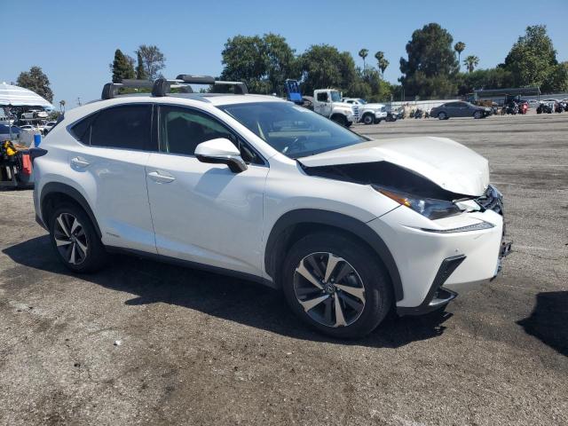 LEXUS NX 2020 Biały