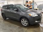 2016 Ford Escape Titanium за продажба в Avon, MN - Hail