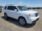 2012 Honda Pilot Exl for Sale in Helena, MT - Stripped
