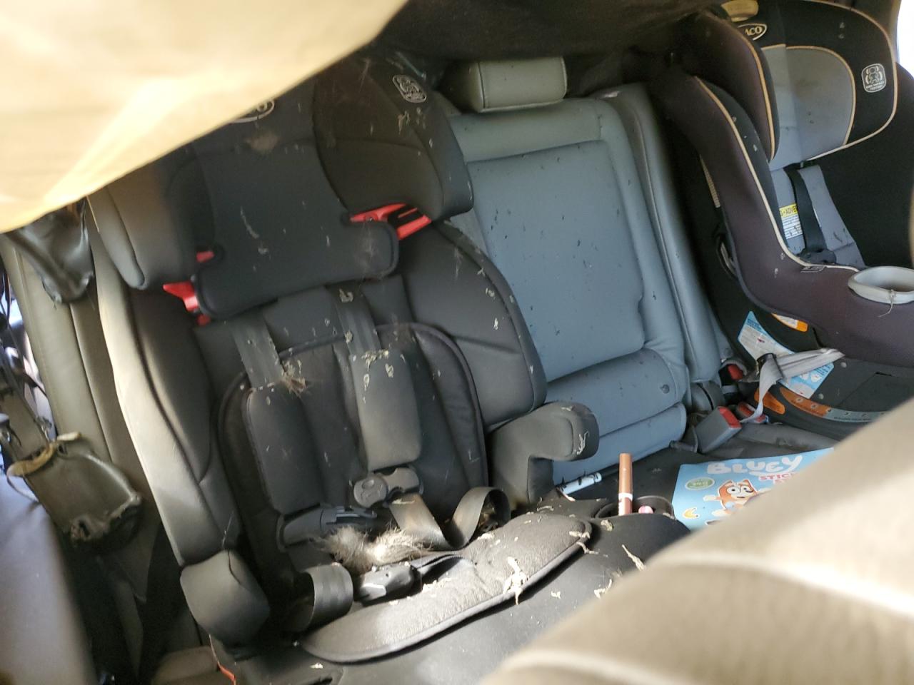 2010 Toyota Sequoia Limited VIN: 5TDKY5G11AS025386 Lot: 62387335