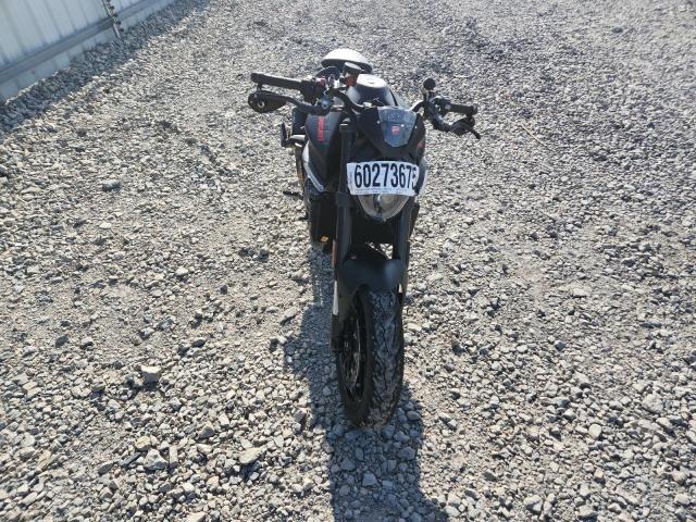 2023 DUCATI MONSTER   