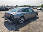 2014 Nissan Maxima S   for Sale in Indianapolis, IN - Rear End