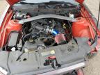 2013 FORD MUSTANG    for sale at Copart ON - COOKSTOWN