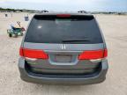 2010 Honda Odyssey Ex за продажба в New Braunfels, TX - Minor Dent/Scratches