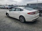 2014 FORD FUSION TITANIUM HEV   à vendre chez Copart NS - HALIFAX