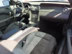 2006 Ford Mustang  for Sale in Arcadia, FL - Front End