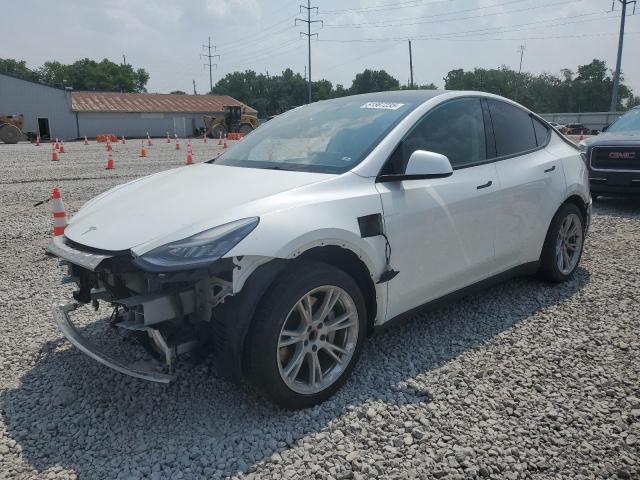  TESLA MODEL Y 2021 Белый