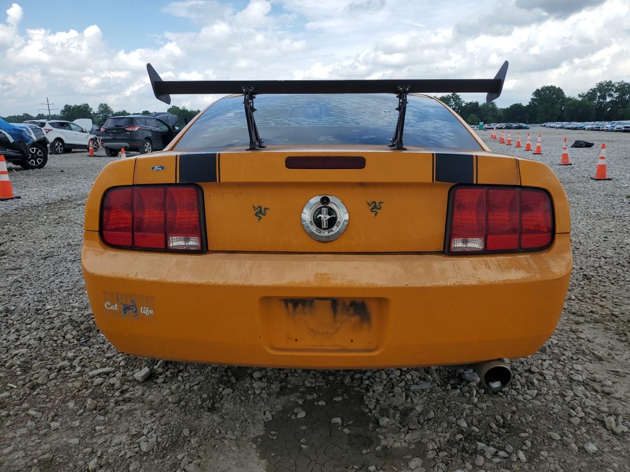 2009 Ford Mustang VIN: 1ZVHT80N695141754 Lot: 63016865