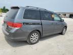 2010 Honda Odyssey Exl zu verkaufen in Indianapolis, IN - Front End