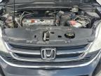 2011 Honda Cr-V Exl   للبيع في Orlando، FL - Rear End