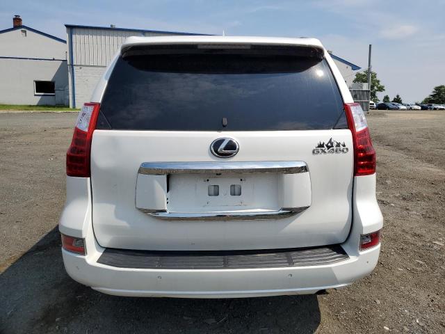 Parquets LEXUS GX 2012 Biały