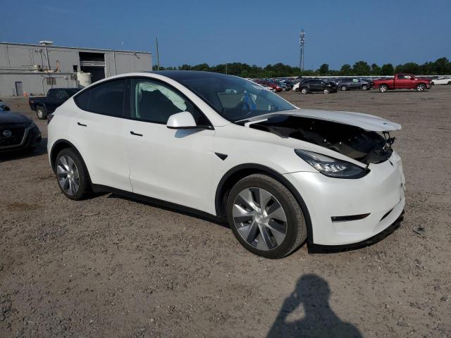  TESLA MODEL Y 2021 Biały