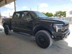 2024 Ford F150 Raptor   for Sale in Homestead, FL - Top/Roof