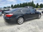 Graham, WA에서 판매 중인 2009 Lexus Ls 460 - Front End