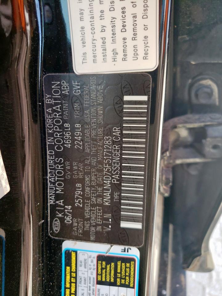 2015 Kia Cadenza Premium VIN: KNALN4D75F5171283 Lot: 59791305