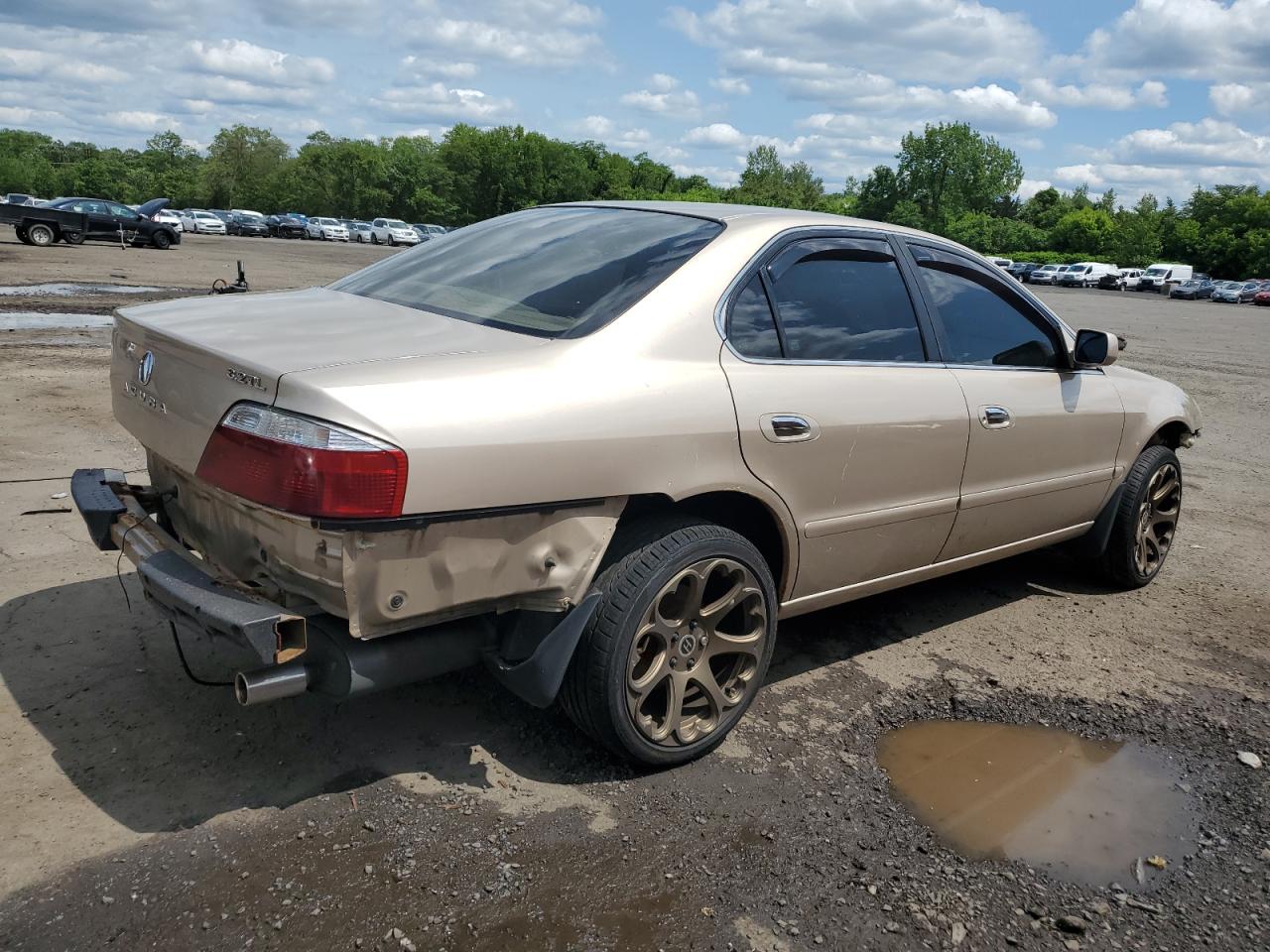 2003 Acura 3.2Tl VIN: 19UUA56693A000246 Lot: 59145155