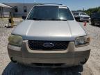 2006 Ford Escape Xlt for Sale in Prairie Grove, AR - Hail