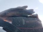2007 Dodge Charger Se for Sale in Fresno, CA - Undercarriage
