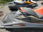 2019 SEADOO RXPX 300   à vendre chez Copart ON - COOKSTOWN
