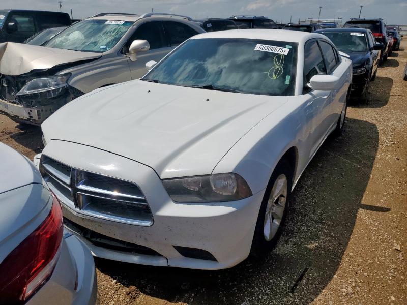 Седаны DODGE CHARGER 2014 Белый