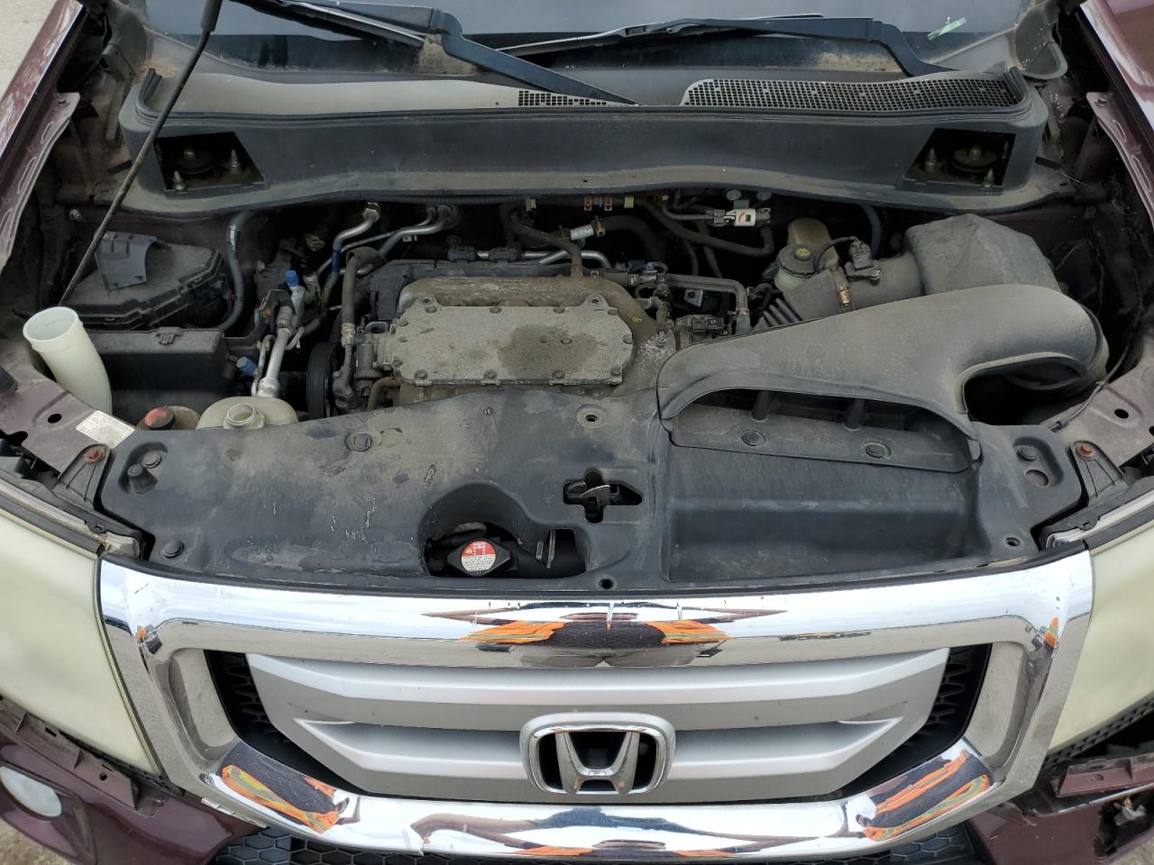 2009 Honda Pilot Exl VIN: 5FNYF48529B017504 Lot: 62790175