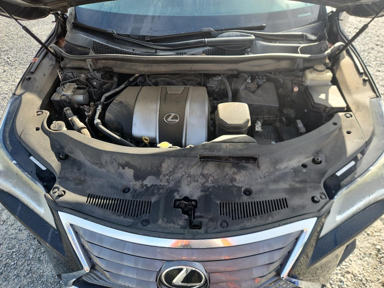 2016 Lexus Rx 350 VIN: 2T2ZZMCA7GC013655 Lot: 62193415