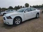2013 Dodge Charger Se for Sale in Elgin, IL - Front End