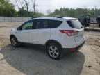 2016 Ford Escape Se for Sale in Franklin, WI - Front End