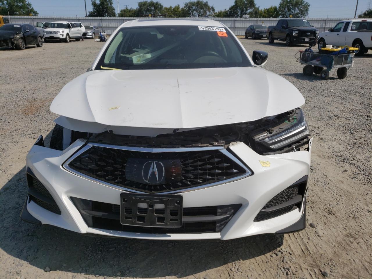 2021 Acura Tlx Technology VIN: 19UUB5F41MA009844 Lot: 62003705