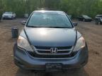 2010 Honda Cr-V Exl იყიდება Cookstown-ში, ON - Rear End