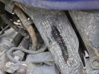 2023 SUZUKI DL800DE RC   à vendre chez Copart QC - MONTREAL