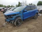 2019 FORD ESCAPE SEL   à vendre chez Copart ON - TORONTO