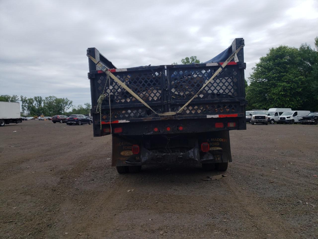 2009 Ford F550 Super Duty VIN: 1FDAF57R99EA43252 Lot: 62719535