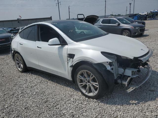  TESLA MODEL Y 2021 Белый