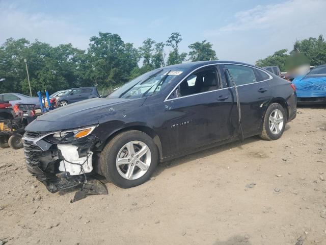  CHEVROLET MALIBU 2023 Black