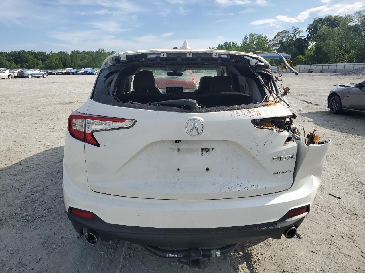2019 Acura Rdx Advance VIN: 5J8TC2H73KL034146 Lot: 61839645