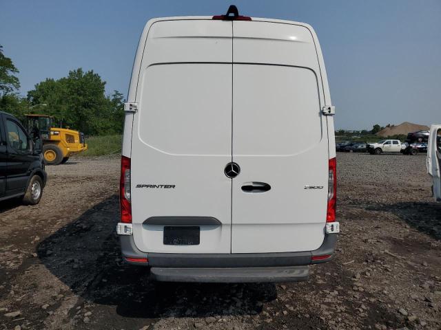  MERCEDES-BENZ SPRINTER 2021 Белы