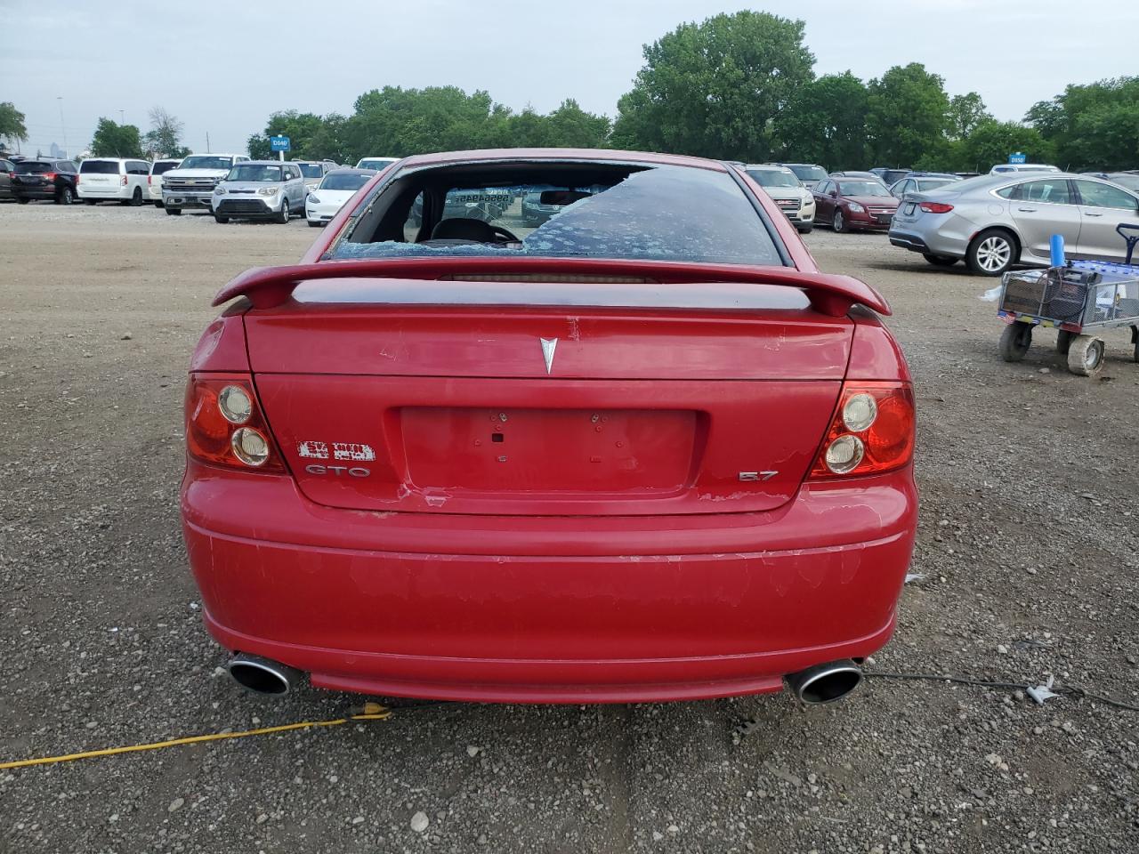 2004 Pontiac Gto VIN: 6G2VX12GX4L313442 Lot: 59564945