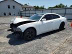 2013 Dodge Charger Se   for Sale in York Haven, PA - Biohazard/Chemical