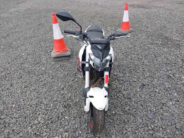 2025 BENELLI TORNADO NA